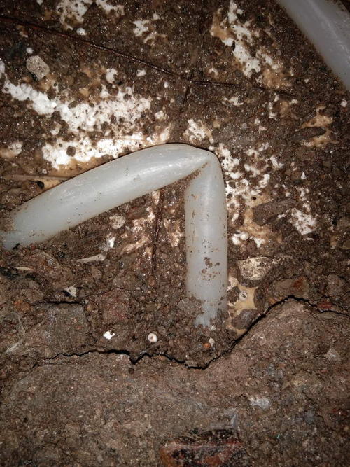 南召堵点精准查找